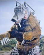 MoleKing.jpg (38 KB)