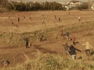 Bun.Brood.png (5.54 MB) A bunch of Bugunzun Broods.