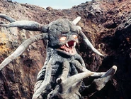 King-Zaiger.jpg (123 KB)