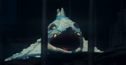Samekujira Taiga.png