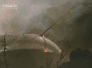 JabalaHornBeam.gif (5.4 MB) Horn Beam