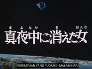 Perempuan yang Pudar di Malam Hari