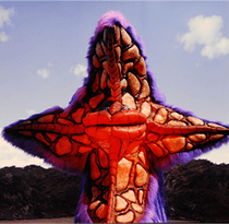 MARICULA I.png