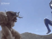 CosmosLunaChop.gif (3.6 MB) Luna Chop