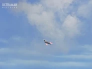 CarolynFlight.jpg (74 KB) Flight