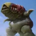 Supittol scout.jpg (3 KB)