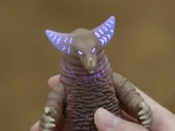 Gomora Daichi