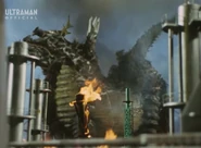 Pair-Mons-King-Mirrorman-February-2022-13.jpg (110 KB)