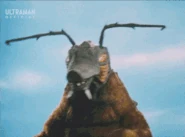 ArigeidaAntennaLightning.gif (8.04 MB) Antenna Lightning