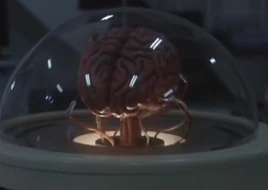 Living brain remaster