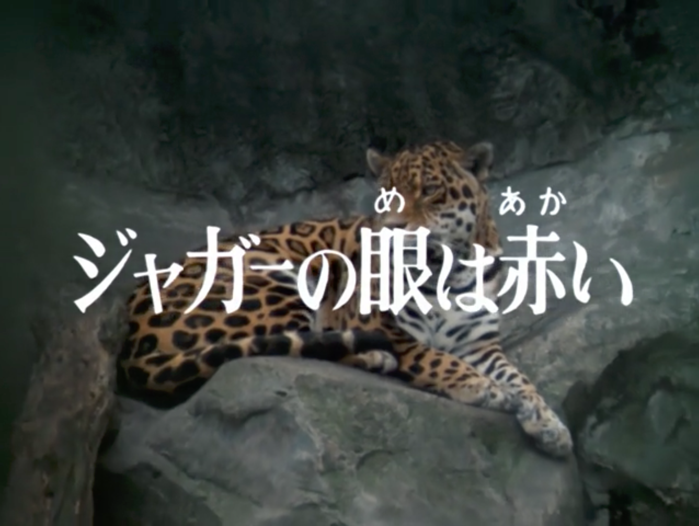 荒獅子(八荒飛龍剱) [DVD] 6g7v4d0 暴れ豪右衛門＜東宝DVD名作セレクション＞（TDV30016D）｜TOHO