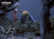 Taro Ultra Lifting.gif (8.35 MB) Ultra Lifting