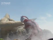 GadibaRedKingWhipTail.jpg (119 KB) Whip Tail