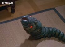 Kemujira-Larva.jpg
