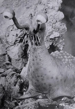 Namegon | Ultraman Wiki | Fandom
