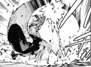 Red's tail, present in his True Form