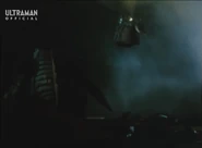 TeroringaHeadSeparation.jpg (35 KB) Head Separation