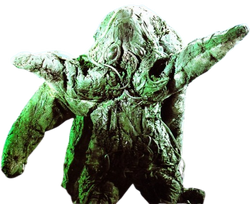 Amoeza Data
