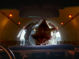 Go Monster Expedition Team