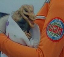 Myu-Small.jpg