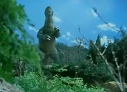 Pacheo 2.jpg (21 KB) Gororo