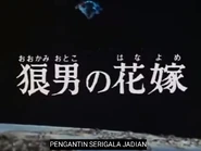 Pengantin Serigala Jadian