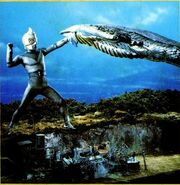 INBERA 2.jpg (75 KB)