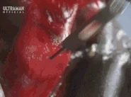 MahagenomDurability.gif (7.53 MB) Durability