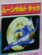 CosmosMoonsaultKick.jpg (591 KB) Moonsault Kick