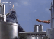 BrainCutChop.gif (9.96 MB) Brain-Cut Chop