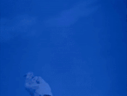 BraceletThawing.gif (6,5 MB) Ultra Thawing