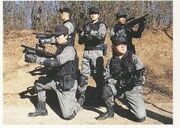 TLT Solders.jpg