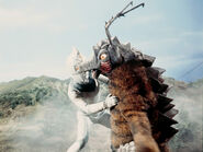 Arigeida I.jpg (93 KB)