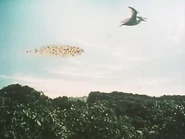 Terrano leads the swarm of yellow bats