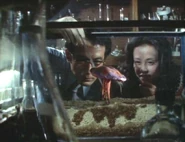 Giving Kinokurages the petrolium.