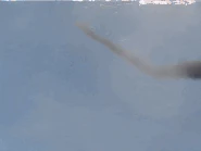 F8a1e128d84c4f198ae21bbc0ee1efcc.gif (1.82 MB) Whip Tail