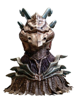 Metacisus.png