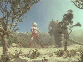 The Forest Guardian