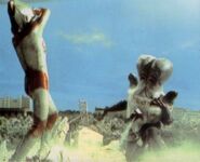 VARDUCK-JACK.jpg (46 KB)