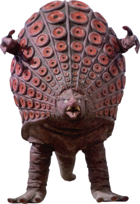 Takkong.png