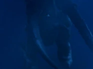 Media 230925 120605.gif (1.33 MB) Adept Swimmer