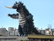 TaigaGymaira.png