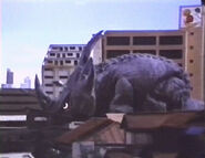 Tyrako-Izenborg-August-2020-07.jpg (62 KB)