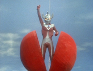 Taro Ultraman Ball