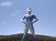 CosmosLunaCosmoReductor.gif (8.13 MB) Cosmo Reductor