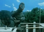 Gororo eyeing a bridge.