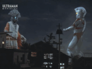 AprasarLightWavePlumage.gif (9.4 MB) Light Wave Plumage