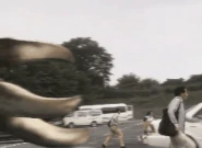 Cl bg.gif (3.88 MB) Claws