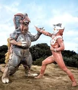 Vekira 3.jpg (11 KB)