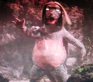 Yotandon1.jpg (63 KB)